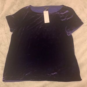 Eileen Fisher Short-Sleeve Bateau-Neck Velvet Top